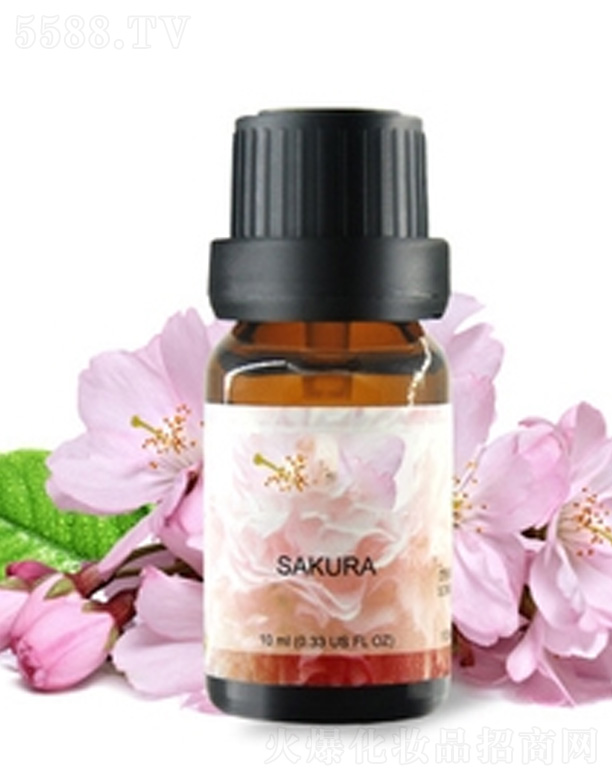 �V�݊yˎ���yƷ���޹�˾������