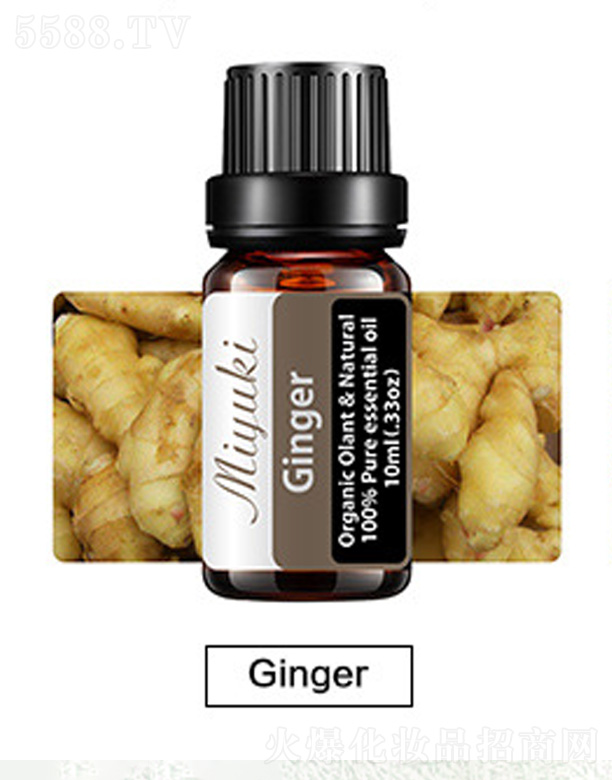 �V���׋I����Ƽ����޹�˾���o(h��)�w��޹��Ħ��-Ginger��