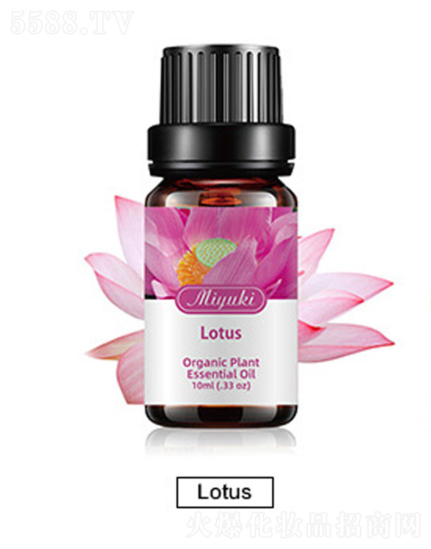 �V���׋I����Ƽ����޹�˾���o(h��)�w��޹��Ħ��-Lotusɏ��