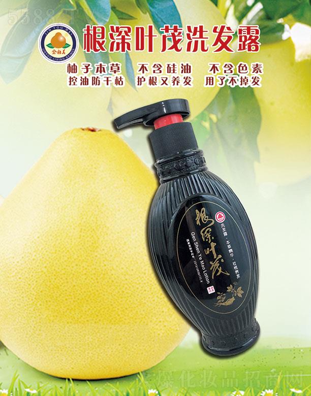 �V���������﹤�����޹�˾�������������~ïϴ�l(f��)¶