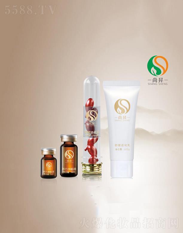 �V�����ЕN����Ƽ����޹�˾���ЕN�弡��  ���M(j��n)Ƥ�w��ꐴ��x