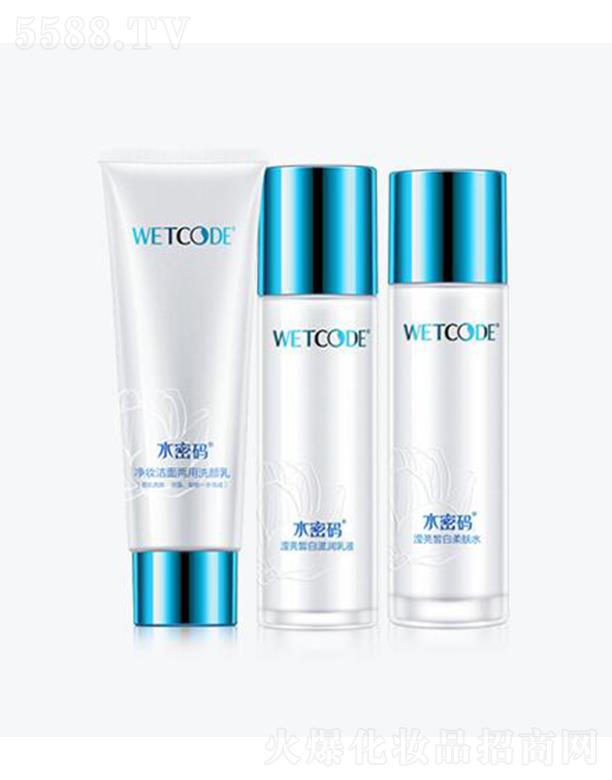 �V�|���˼��F(tu��n)���޹�˾��ˮ�ܴaѩ�͸�׶��������� ѩ�����w ����͸�� �̝�