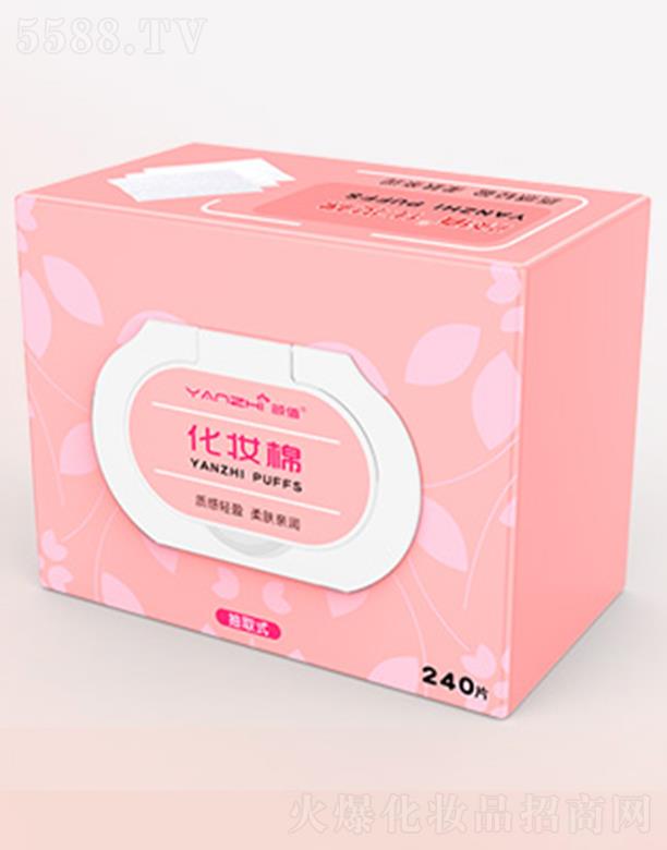 �����ֵ����Ƽ����޹�˾���ֵ���y�� 240Ƭ���w�H����������