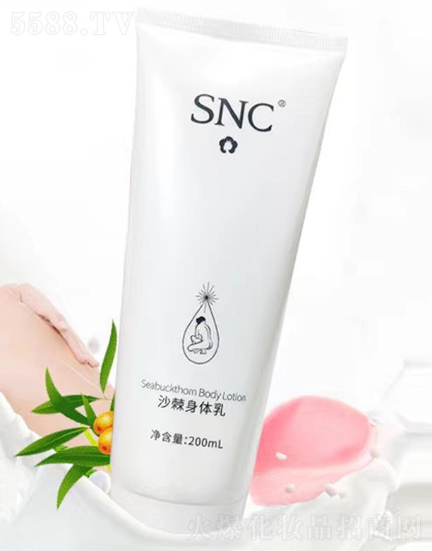 ��(n��i)�ɹ���˸߼��g(sh��)�a(ch��n)�I(y��)����؟(z��)�ι�˾��SNCɳ�����w��