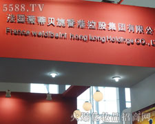 ����(gu��)ޱ��ؐ컿عɼ��F(tu��n)���޹�˾¡��������