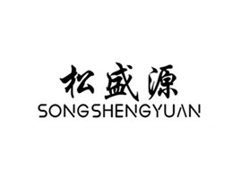 ������ʢԴ����Ƽ����޹�˾