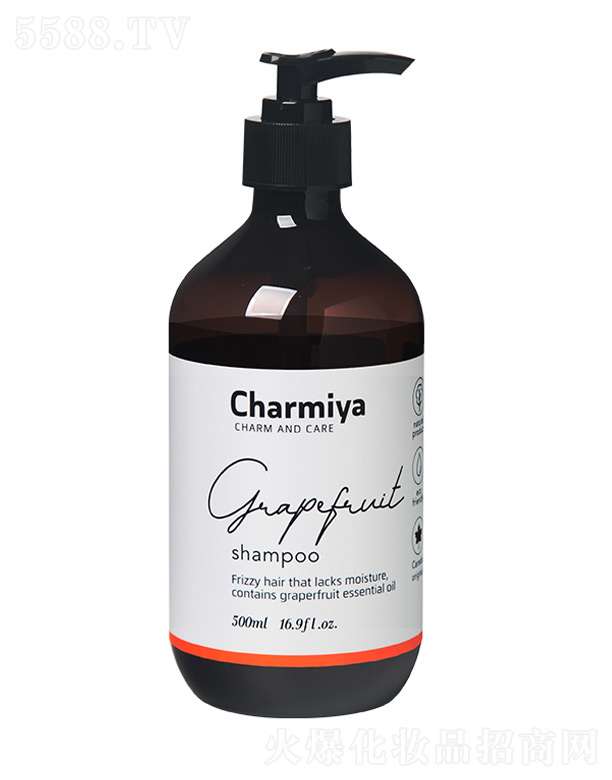 �ȋZ.���ֹ�����ϴ�l(f��)�� 500ml