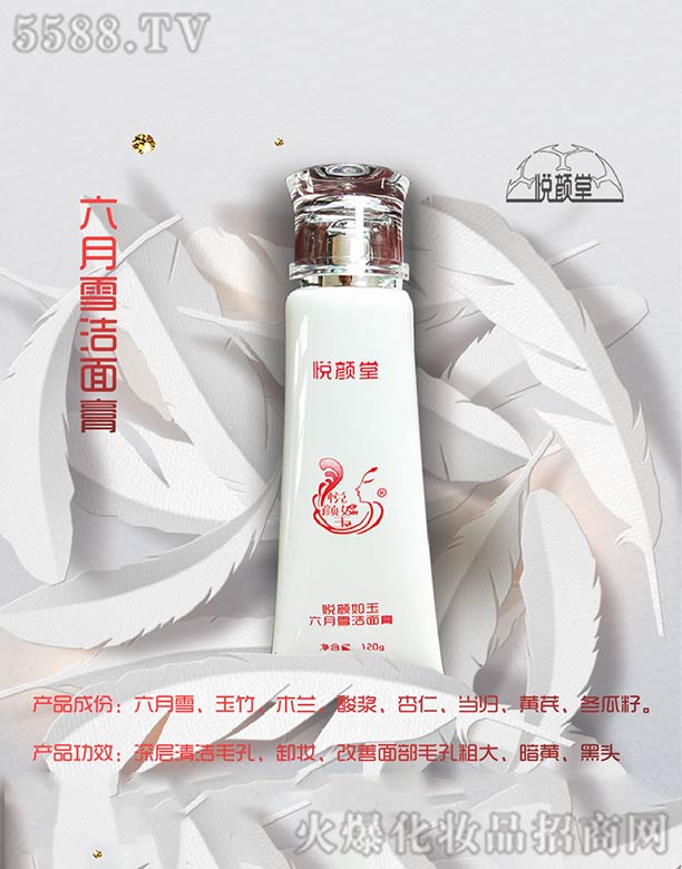 ����ѩ�����