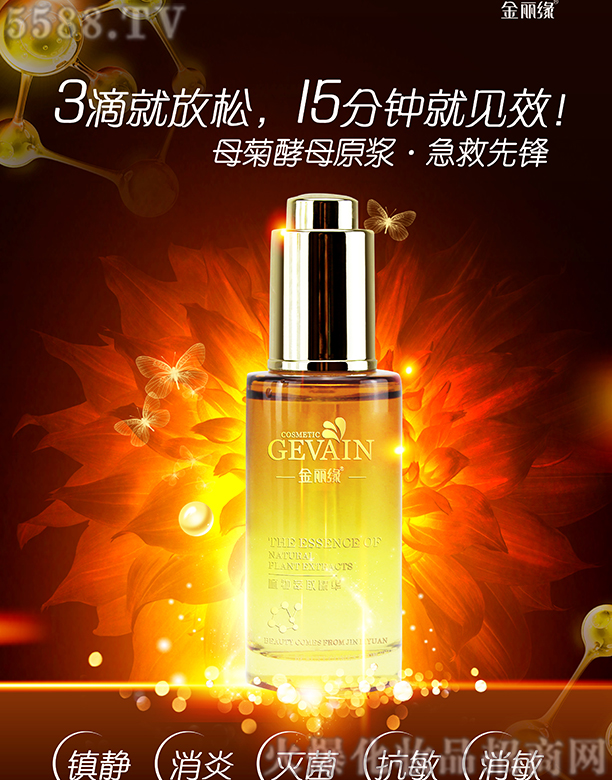 ������ĸ�ս�ĸԭ�{