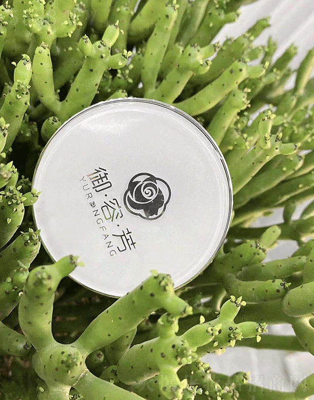 ���ݷ��p͸�o覚�|˪