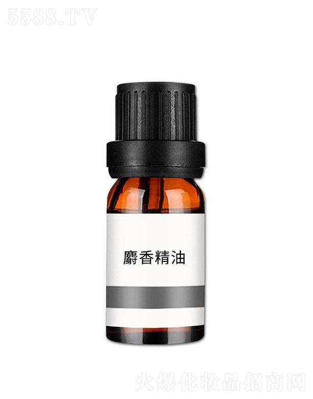 ���n���㾫��