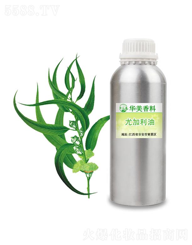 �A���ȼ�����