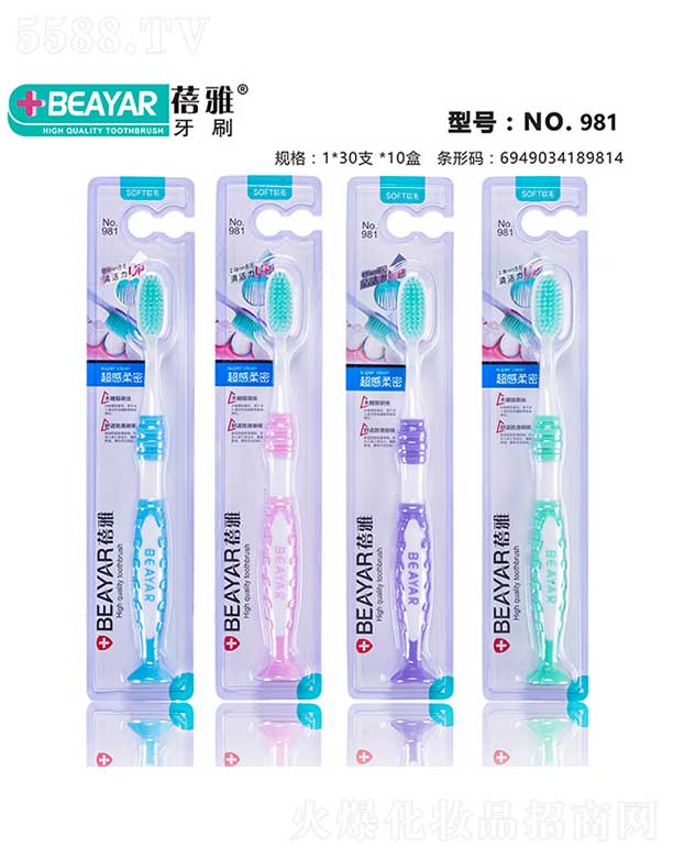 ������ˢNO.981