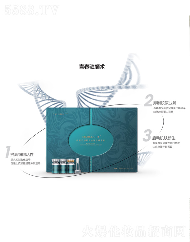 �����m���܏�(f��)�Ϲ���������