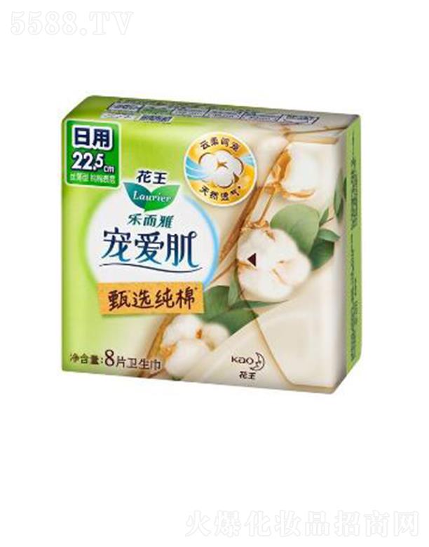 ��(l��)���Ō���(��i)�����x���޽z����22.5cm��8p��ס������ܛ