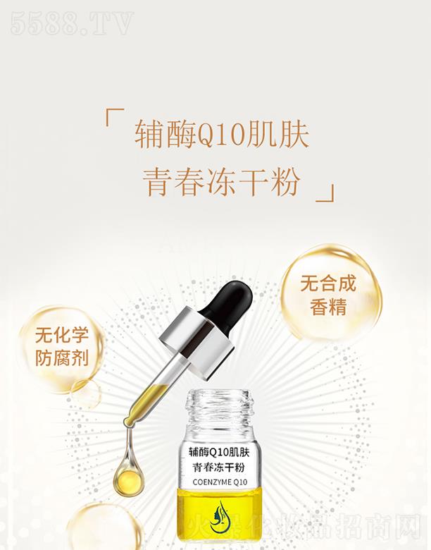 ����oøQ10���w�������ɷ�(�i�r��ƿ) ���o���w