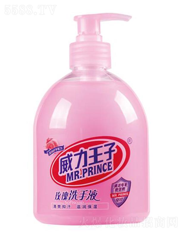 ��������õ�坙(r��n)�wϴ��Һ 500��