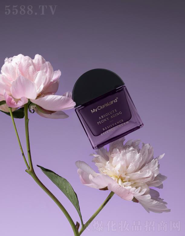 ���ޢݼ��ĵ�����r�r��A˪