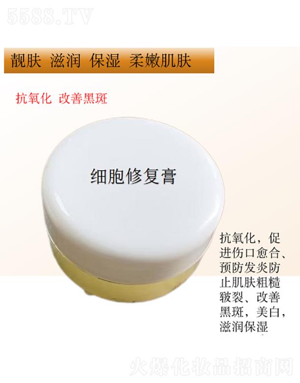 �����ޏ�(f��)��