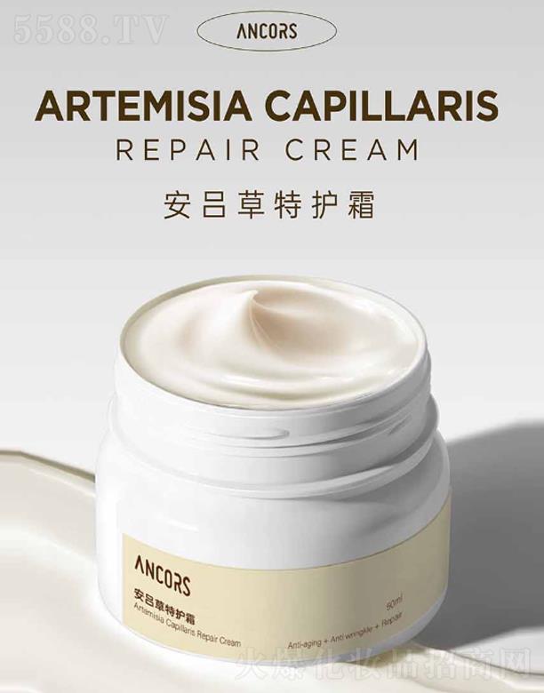 ANCORS���β����o˪