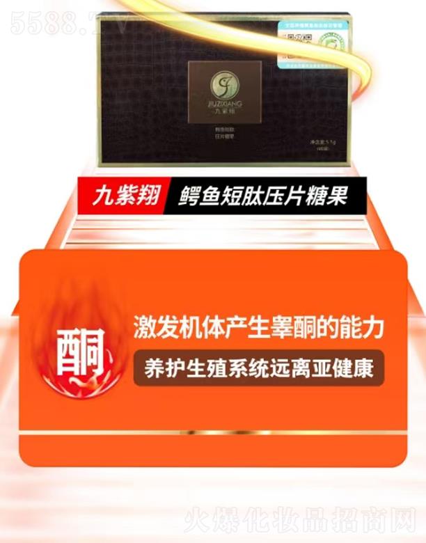 �������{�~(y��)���ĉ�Ƭ�ǹ�