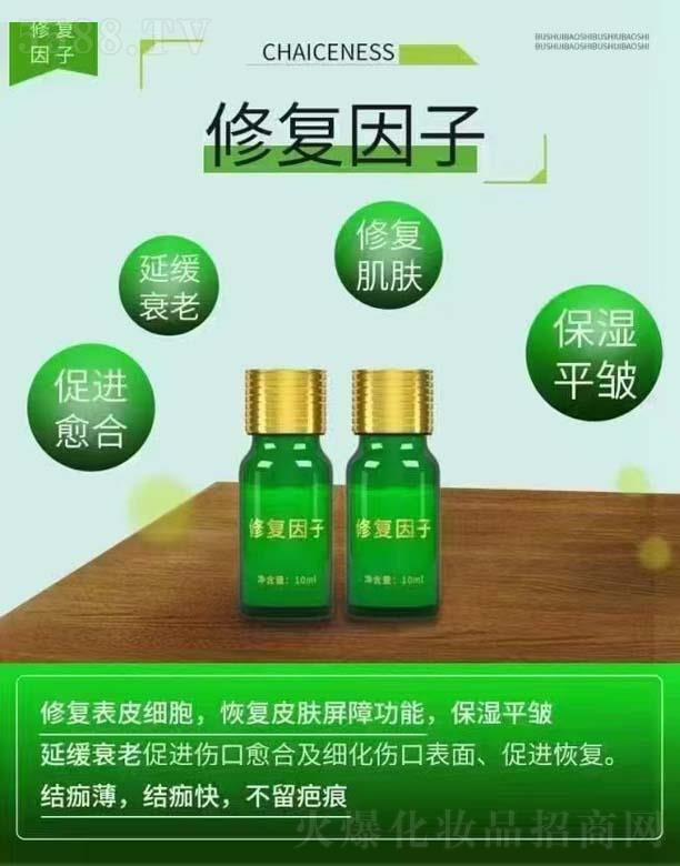 �ޏ�����