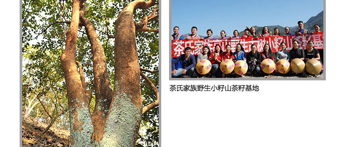 ���ϼ���-�Ř�ɽ����ϴ�l(f��)��