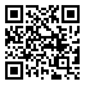 ������ʽ